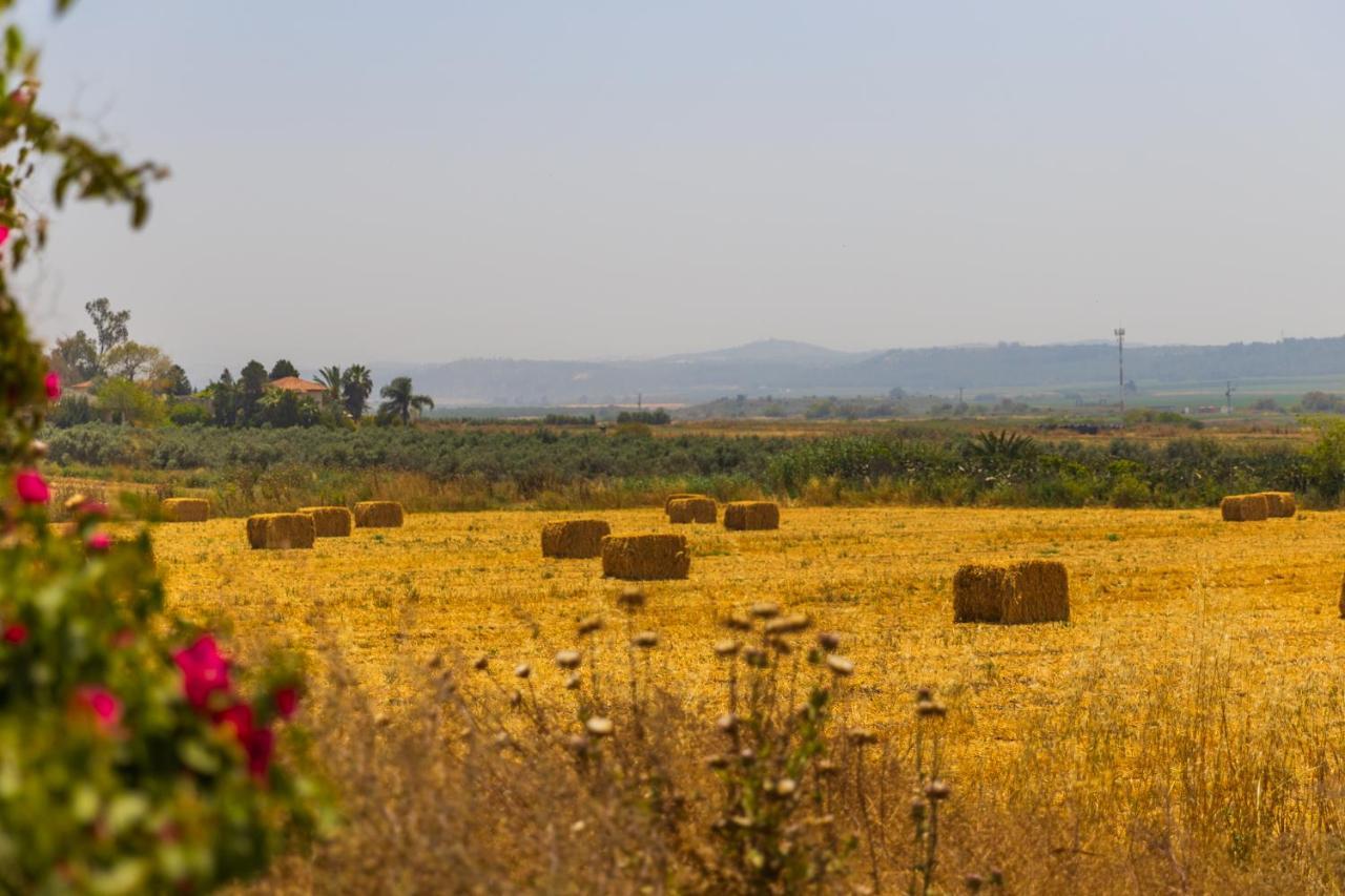 Tal Shahar Zimmers Buitenkant foto
