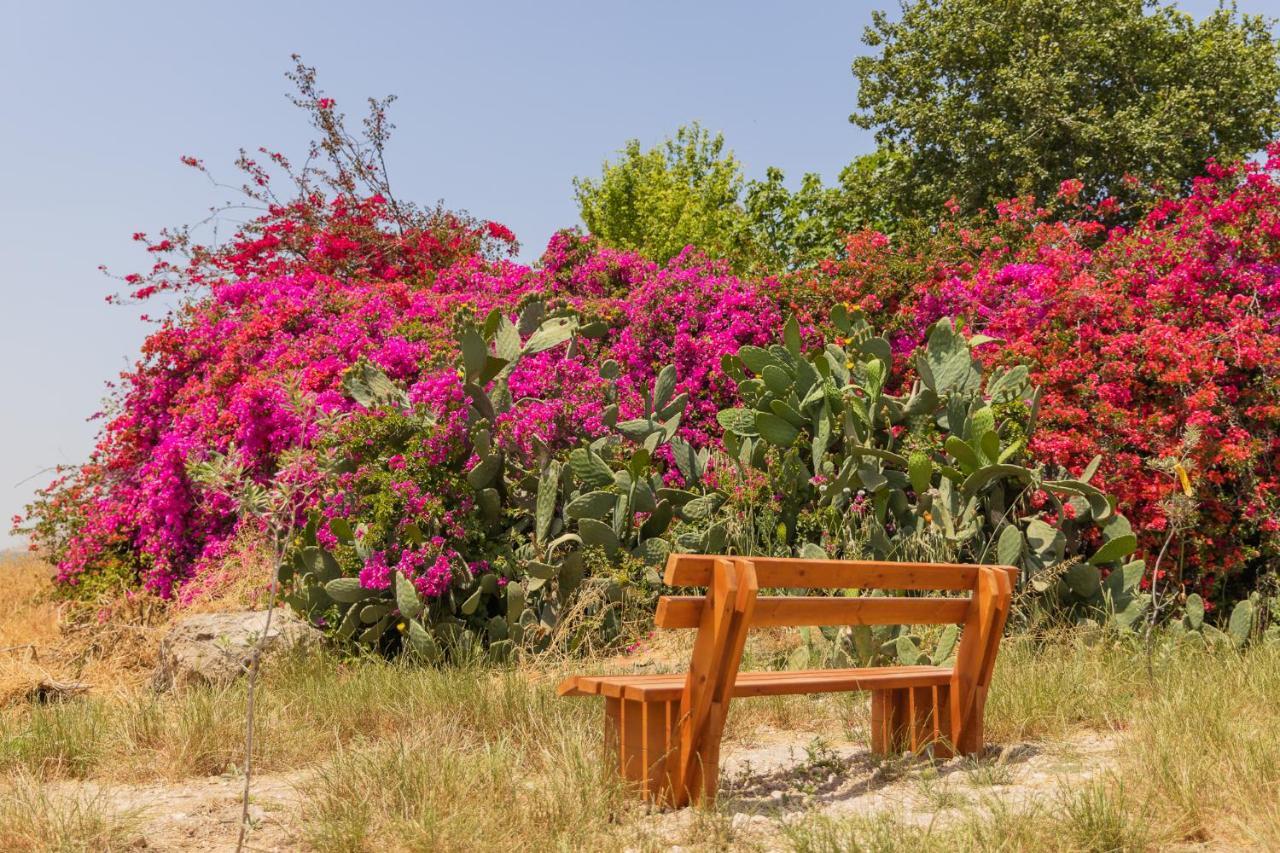 Tal Shahar Zimmers Buitenkant foto